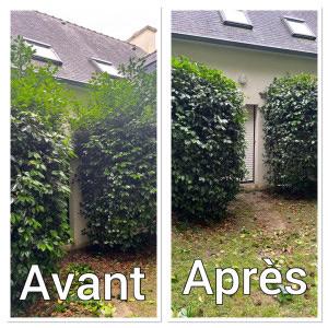 Entretien espace vert